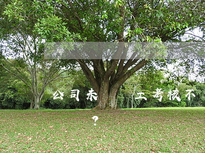 公司未對職工考核不發(fā)績效合法嗎？